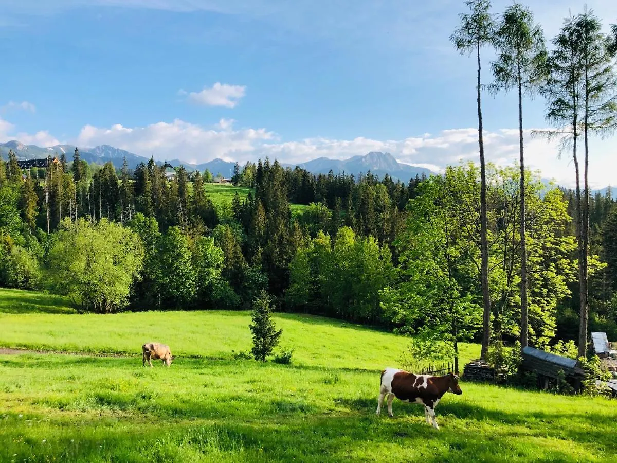 Tatrzanska Polana 5F Apartment Zakopane Poland